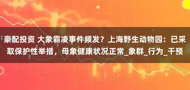豪配投资 大象霸凌事件频发？上海野生动物园：已采取保护性举措，母象健康状况正常_象群_行为_干预